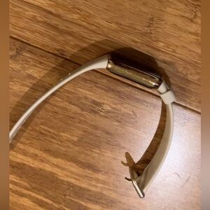 Fitbit (with charger)